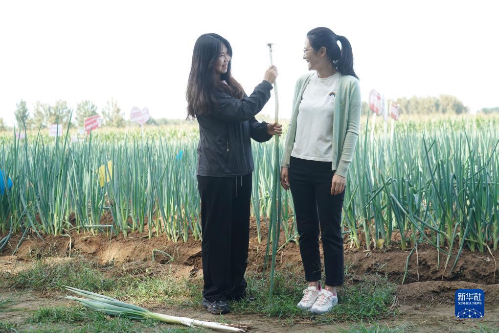 什么软件可以免费玩端游